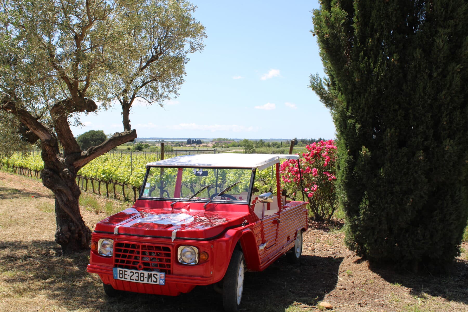 balade en méhari au coeur des vignes