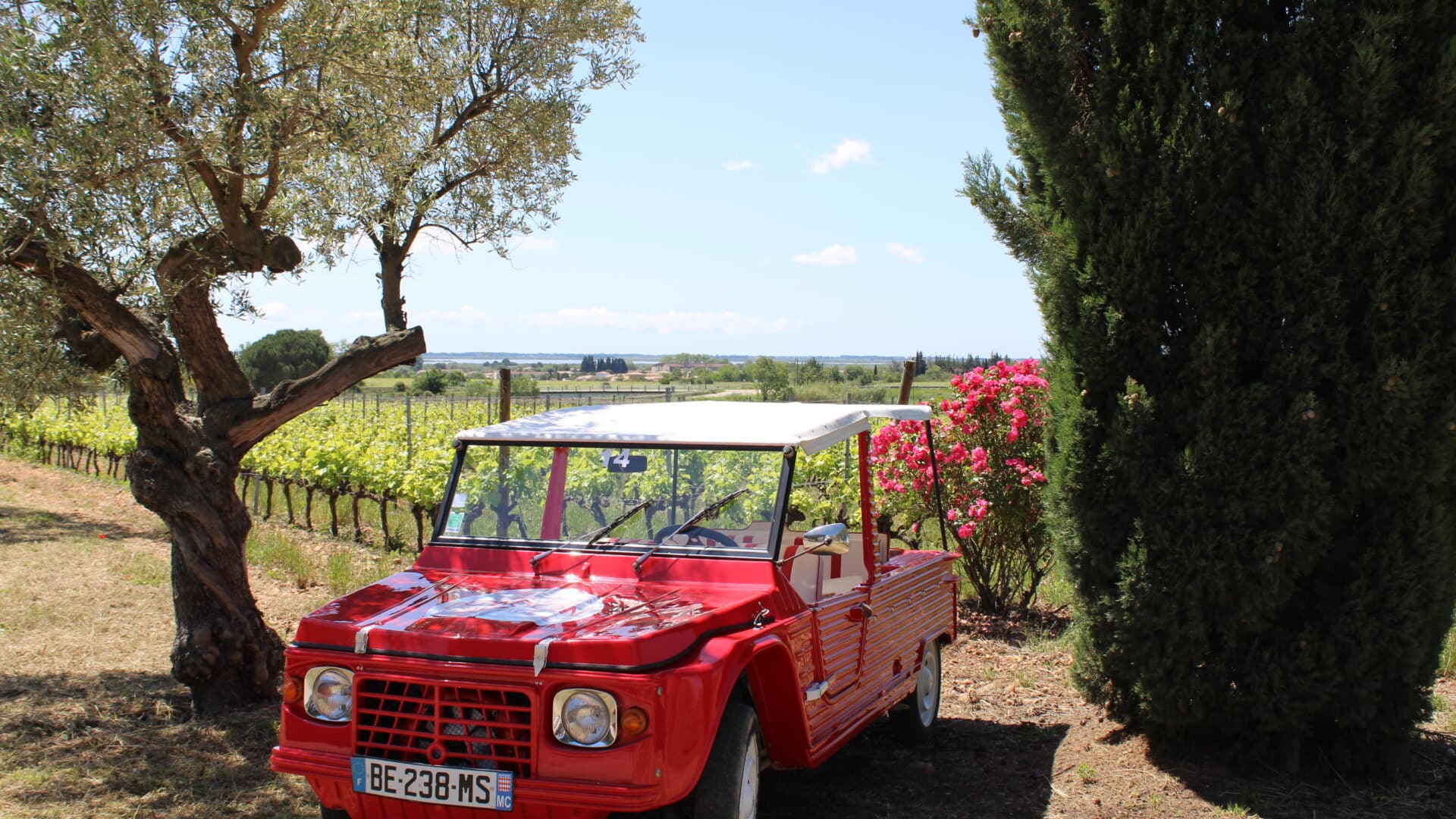 balade en méhari au coeur des vignes